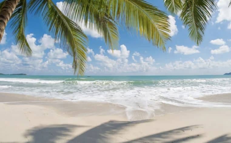 Photos de Vacances sur Instagram Pendant un Arrêt Maladie : Risque de Licenciement ?